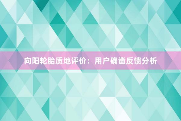 向阳轮胎质地评价：用户确凿反馈分析