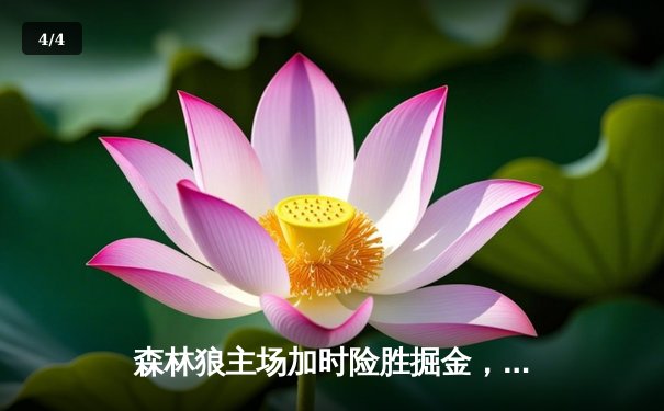 森林狼主场加时险胜掘金，爱德华兹43分率队扳平总比分 - 4